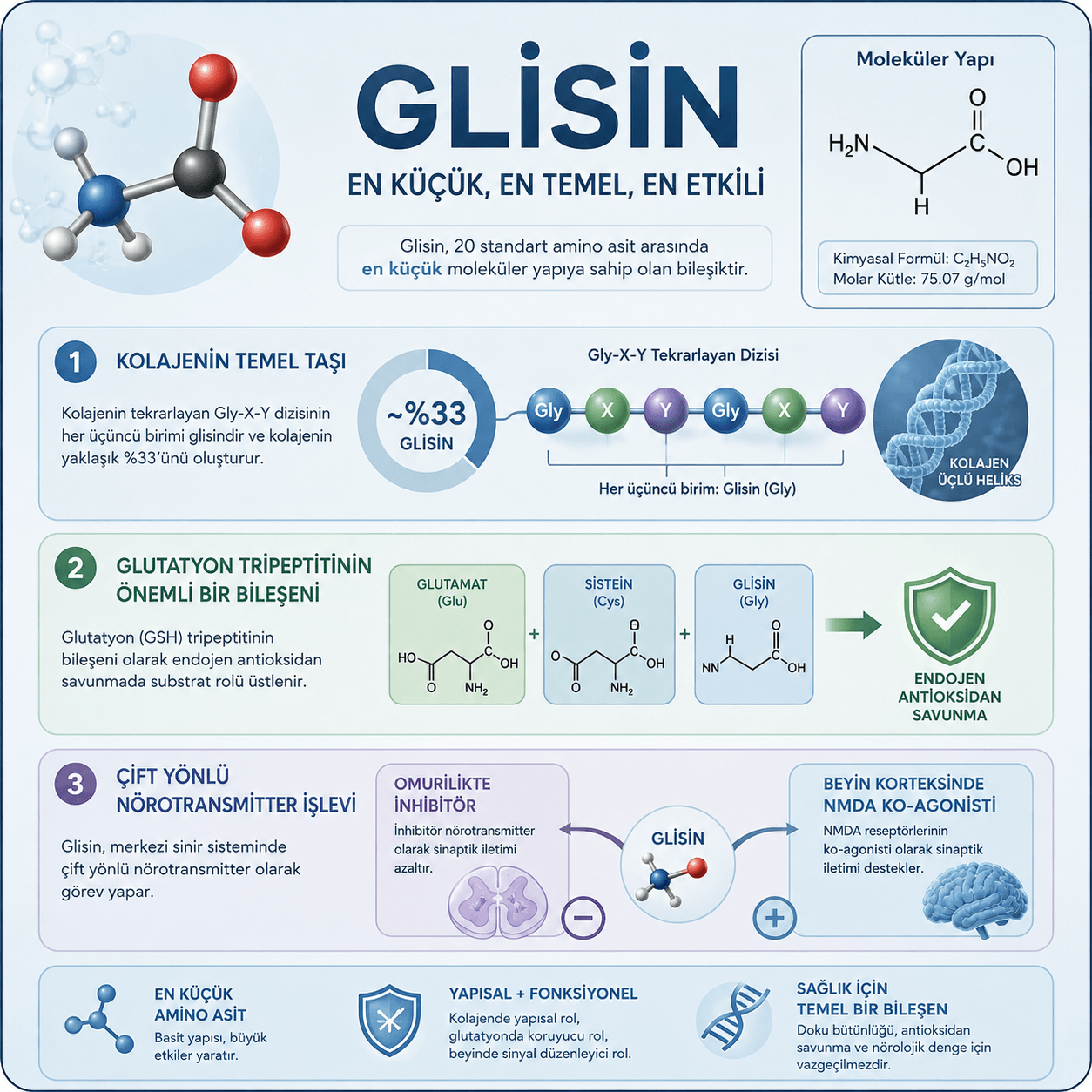 Glisin amino asit – biyokimyasal roller ve besin kaynakları