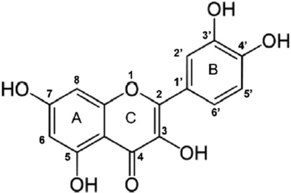 Quercetin Nedir​? 